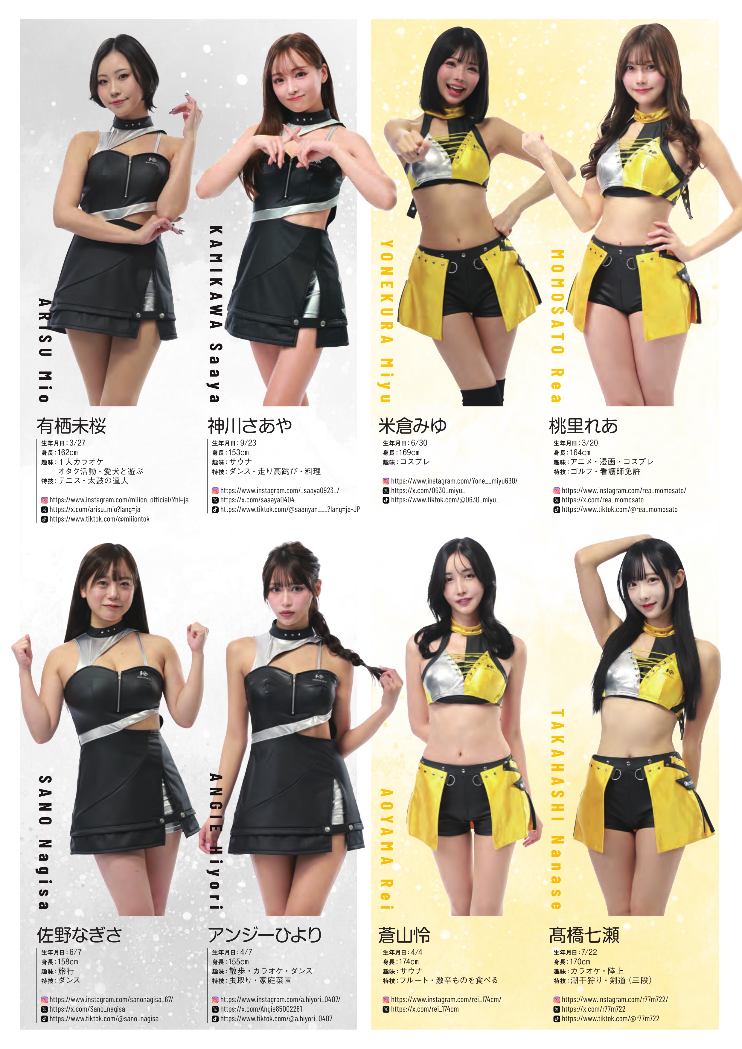 パンフレット 29ページ